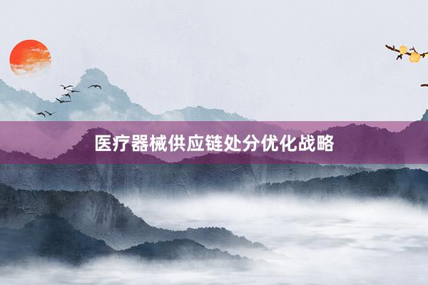 医疗器械供应链处分优化战略