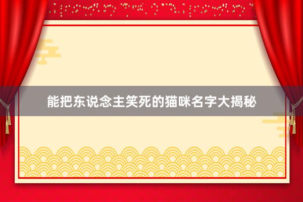 能把东说念主笑死的猫咪名字大揭秘